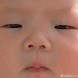 泥鳅