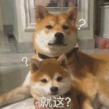 作业本
