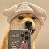 也临