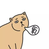纯生啤酒瓶