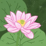 JY心燊_红