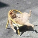 阿时