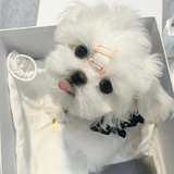明天就暴富