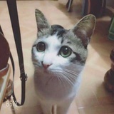 世界小可爱