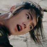 紫鸢