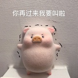 热爱生活小能手