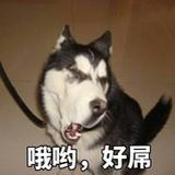 巴拉拉能量