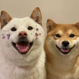 顺其自然