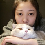 bluechachan
