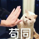 玻璃心榨菜