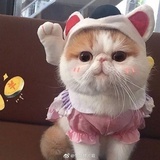 我有小啾啾呀！