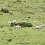 回忆是红色天空
