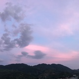 彼得潘菇凉