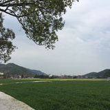 baobao 1987