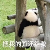 滚雪球