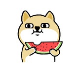 蟋蟀哥