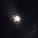 雾里看人生