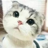 行走在消逝中