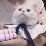 十三