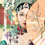 阳光下的僵尸
