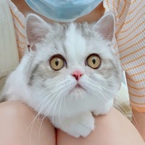 钮钴禄.谁都不