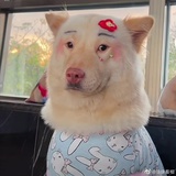 孩童与海豚