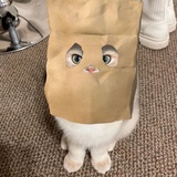 ·