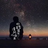 夜幕下的刺猬