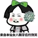 戴着面具的猫°