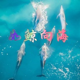 云出岫