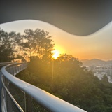 陈小君。