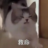 hshhdjixinenlo