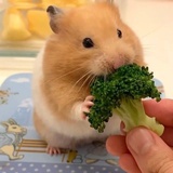 冰拿铁