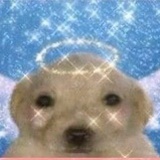 对不良诱惑说快