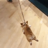 蓦然