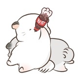 青木河