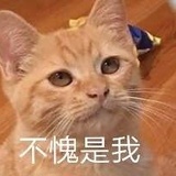 暗器君