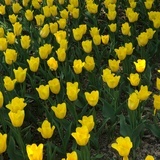 0325