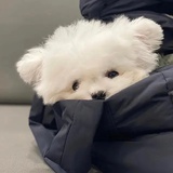 爆汁小流沙🐯