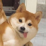 🌝🌝