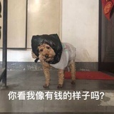 雨女无挂