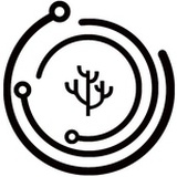 量子学派