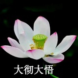 JZCG少喝奶茶