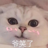 开心最重要啦~