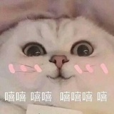 咩了个咩