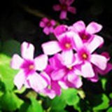 立夏时节