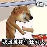 扫地婆婆重生版