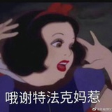 哦麻惹FK