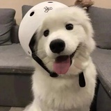 三天_