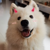 八月就是八月